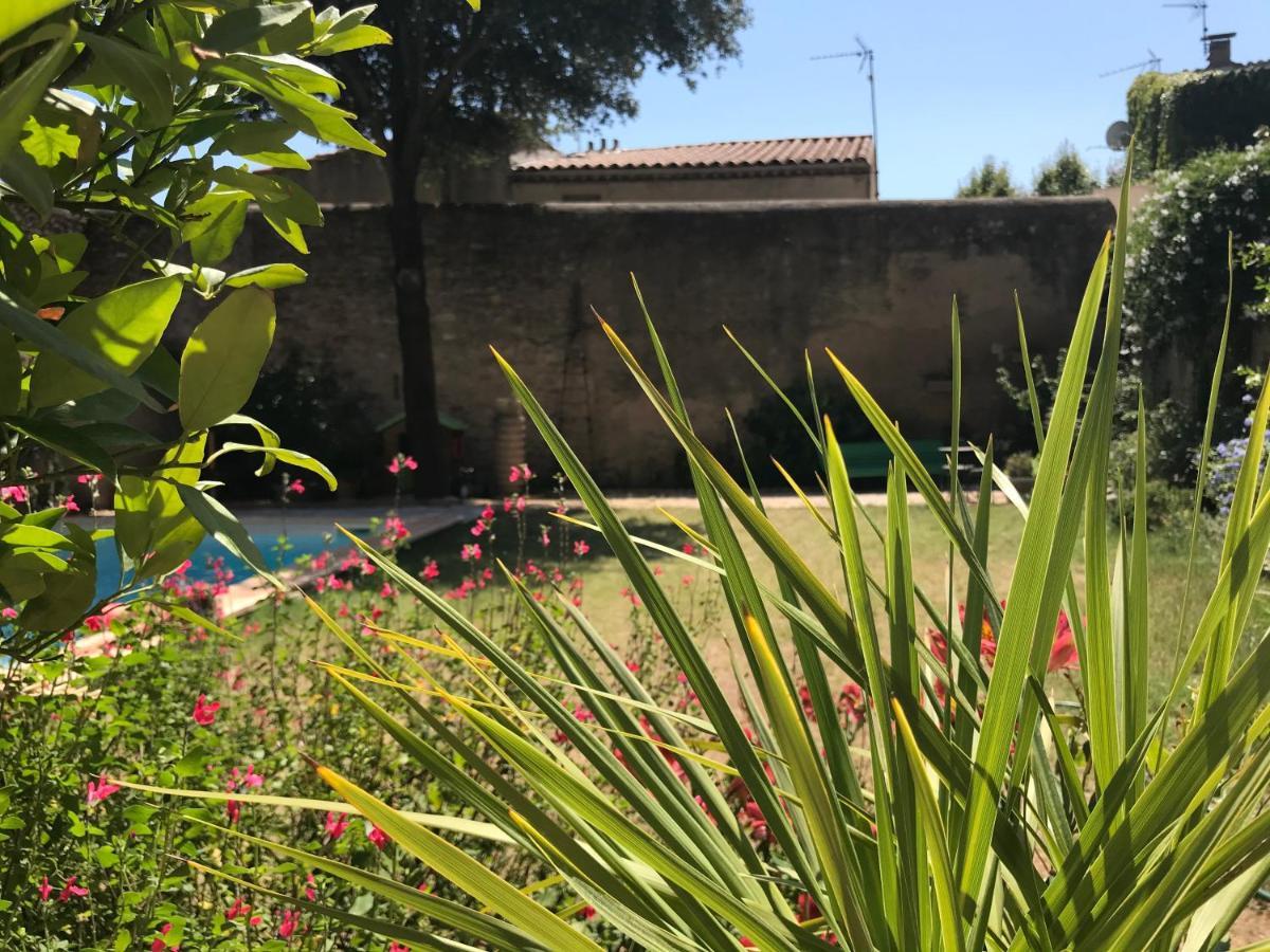 L'Androune Fabrezan Buitenkant foto
